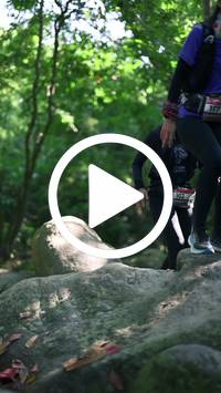 BIB:  <button type="button" onclick="openModal(28052840)" class="btn btn-primary btn-sm float-right" data-toggle="modal" data-target=".modal-high-quality">
                <i class="fa fa-download"></i> Download
                </button>